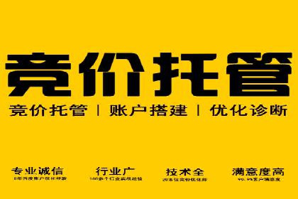 SEM服务优势案例分享